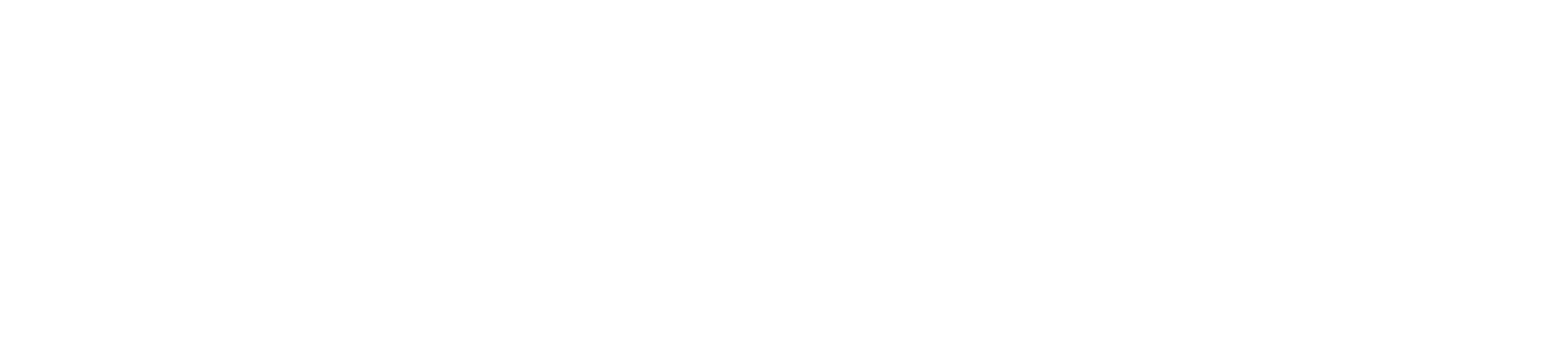 FIF Logo Horizontal White